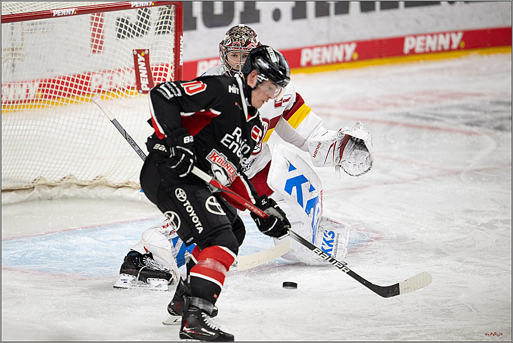 PENNY DEL 1; Kölner Haie - Düsseldorfer EG ; Köln, 16.02.2025